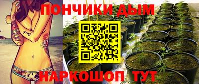 jwh Гусев