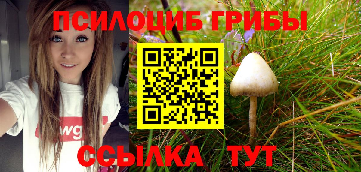 Псилоцибиновые грибы MAGIC MUSHROOMS Балтийск